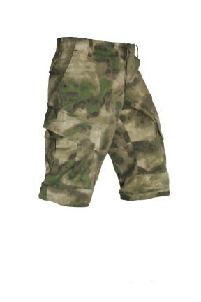 Шорты, Сталкер