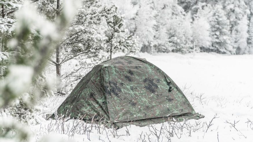 Палатка &amp;quot;Forest 2 Pro&amp;quot; камуфляж, Talberg