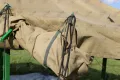 Армейская палатка УСТ-56